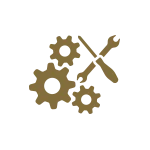 Professional Service